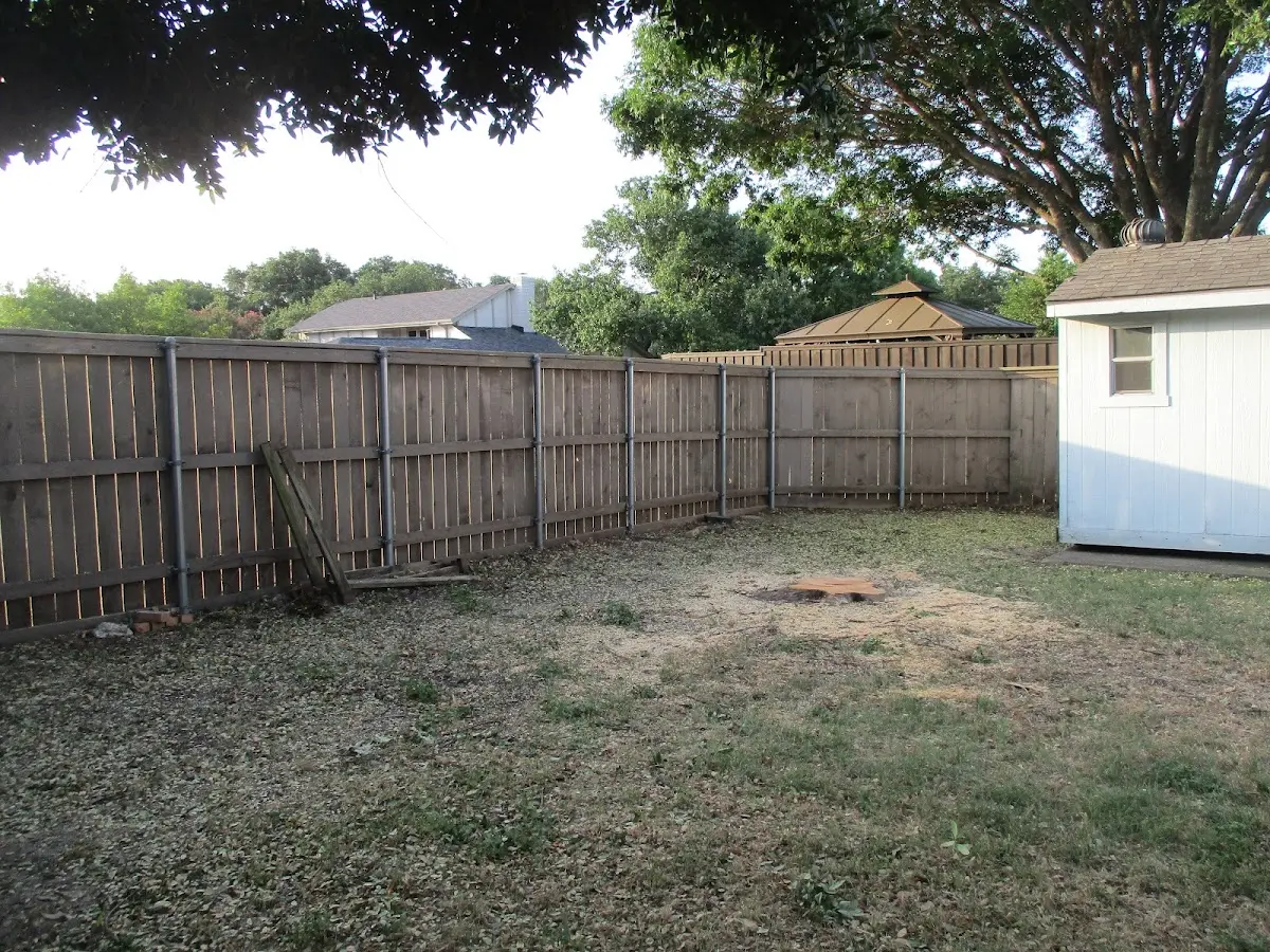 Cleared yard after professional tree removal in Leonardsville