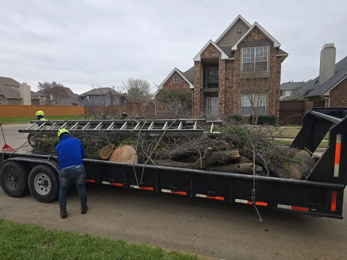 Expert Lot Clearing with proper safety equipment in Leonardsville